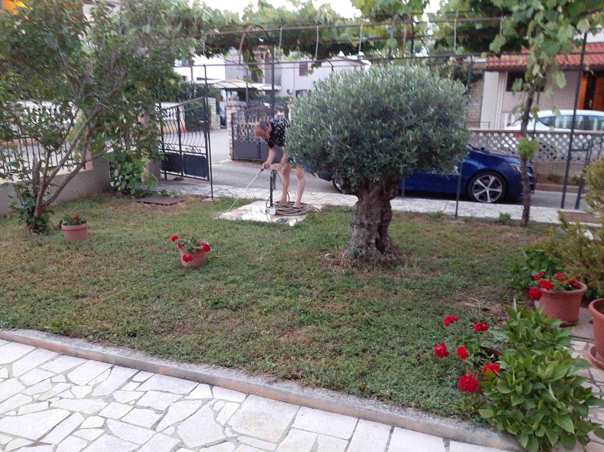 Apartment Stefania Ρόβινι Δωμάτιο φωτογραφία